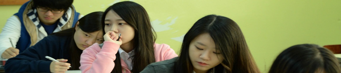 Elementary and High Schooh English tutoring